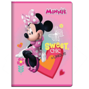 Disney sveska A4 meki povez karo DIZ/17 - Slika 1