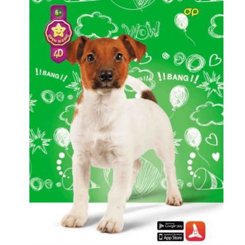 Puzzle 4D animation jack 1161