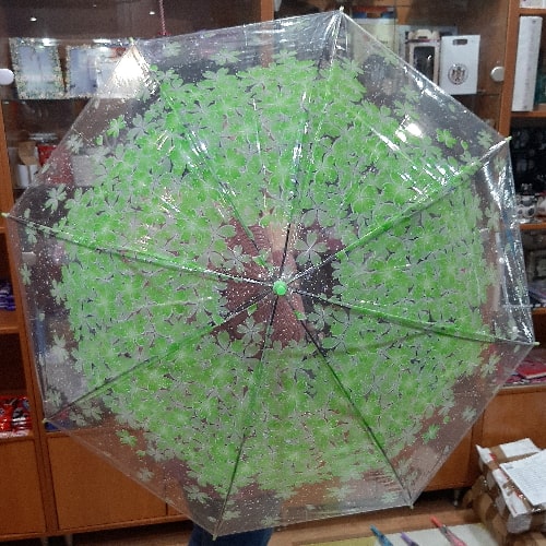 Ženski kišobran providni plastični 72cm 180-1015