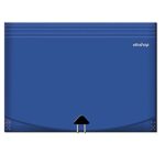 Fascikla-folder-organizer-sa-12-pregrada-330x240mm-Offishop-OF313-NS26971-bubalica