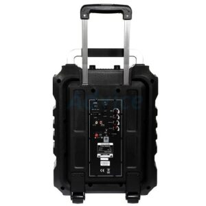 Zvucnik-Bluetooth-MIcrolab-TL20-200W-12V-4500mAh-AUX-FM-2-mikrofona-bubalica