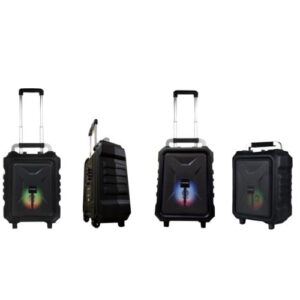 Zvucnik-Bluetooth-MIcrolab-TL20-200W-12V-4500mAh-AUX-FM-2-mikrofona-bubalica
