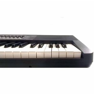 Sintisajzer-Wakertone-W14-2-bubalica-uzice-petar-pan