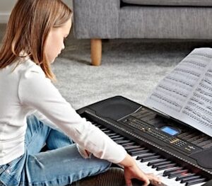 Sintisajzer-Wakertone-W14-2-bubalica-uzice-petar-pan
