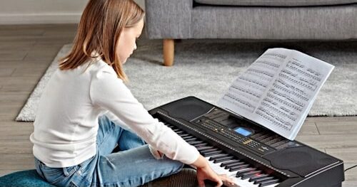 Sintisajzer-Wakertone-W14-2-bubalica-uzice-petar-pan