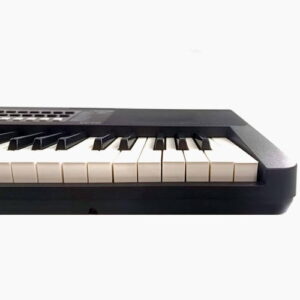 intisajzer-Wakertone-W19-bubalica.rs-pear-pan-uzice-