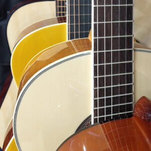 Akusticna-gitara-klasicna-Wakertone-W-07-petar-pan-bubalica-uzice